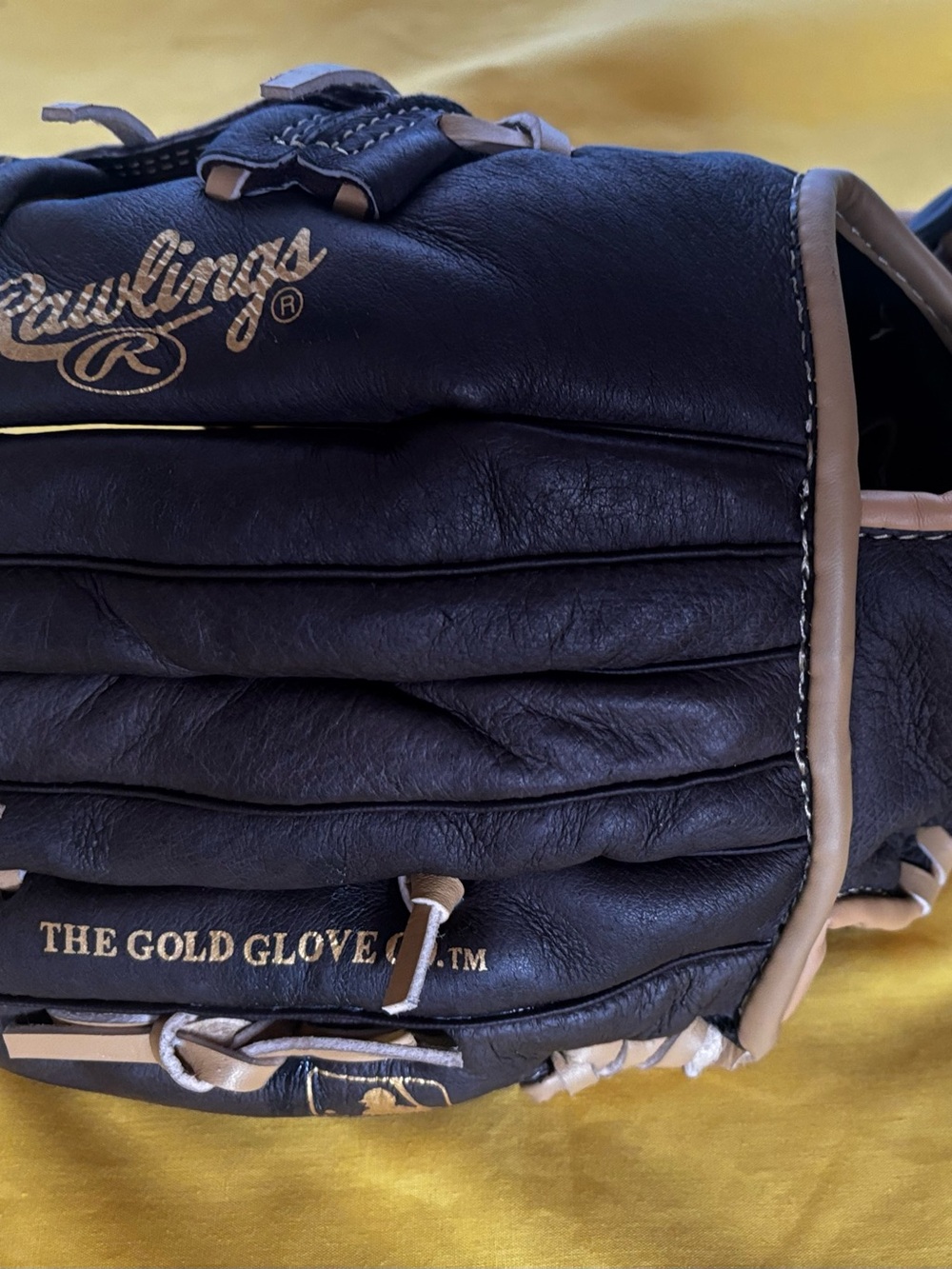 Rawlings Kids Black/Tan Leather Baseball Glove - The Gold Glove Co.